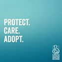 animal shelter animal shelter logo